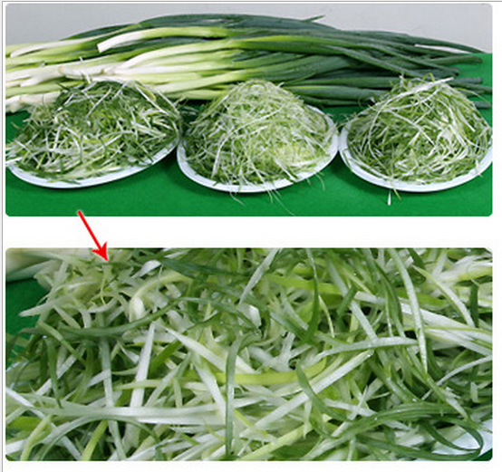 1482972249136591.png 1482972249136591